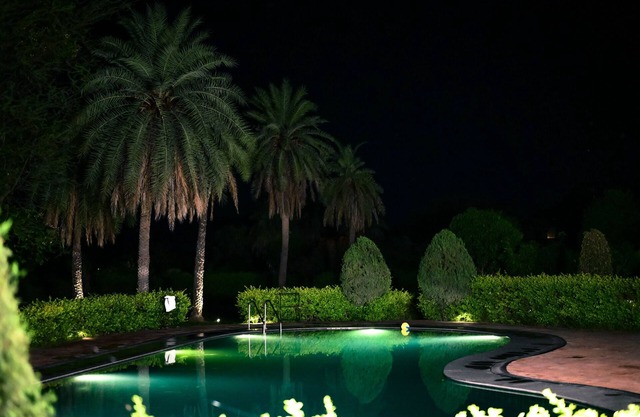 Clarks Safari Pushkar