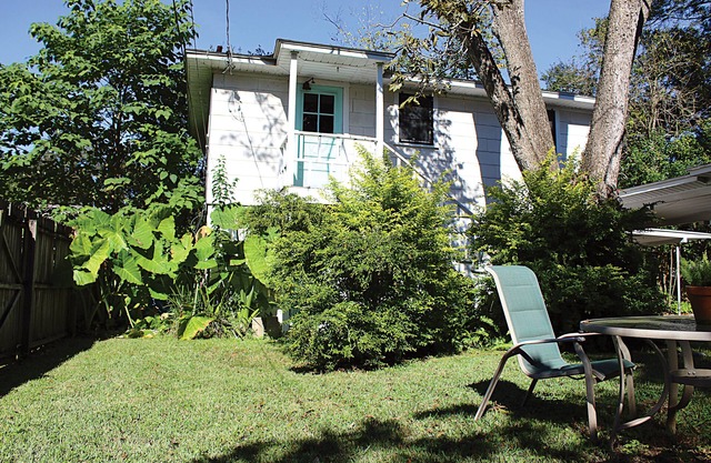 Clean, Artsy Apartment, Nice Community, Driveway