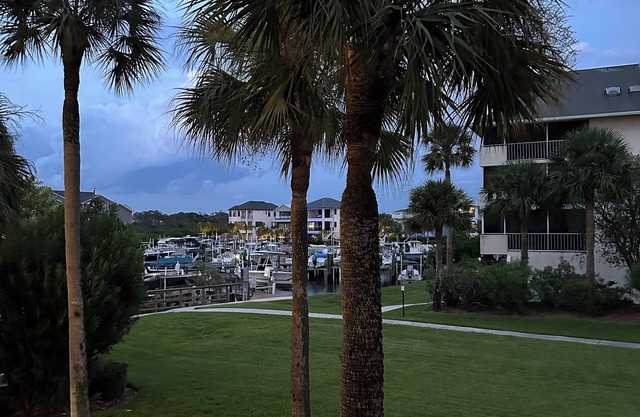 Coastal Vibes in New Port Richey, FLA. Waterfront , sunsets free.