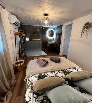 Cocon cosy appart romantique, jacuzzi piscine
