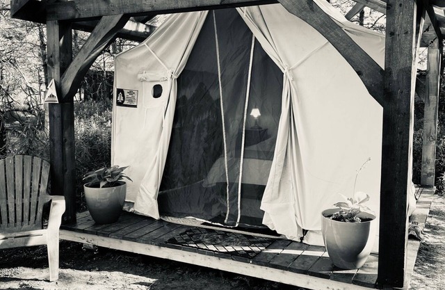 Cohen Glamping Tent, Hepworth, 3 Wooded Acres