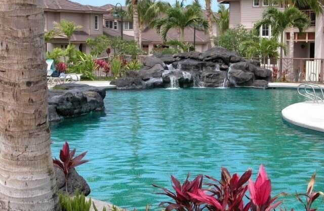 Colony Villa | Paradise among the Palm Trees