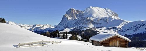 Comfort Apartment Dimaro by Varental