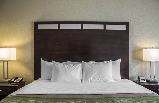 Comfort Inn