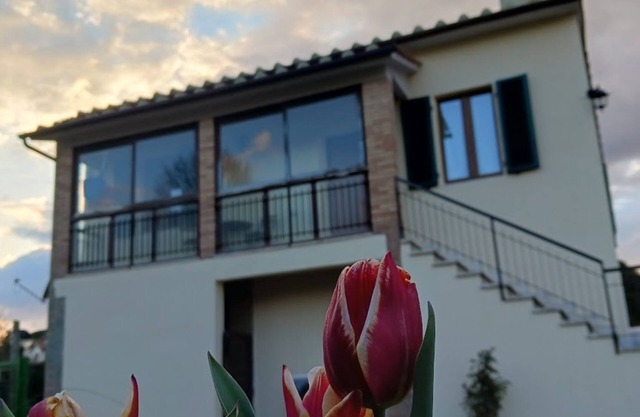 Comfort, relaxation and nature
