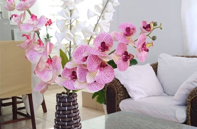 Comfort Stay Vacation Rental
