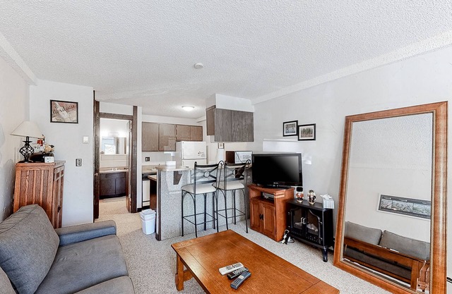 Comfortable ground-level studio w/mountain views -walk to the bus stop
