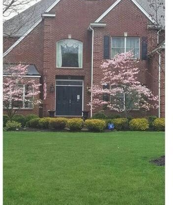 Comfortable, spacious, 1bdrm basement apartment, sleeps 4