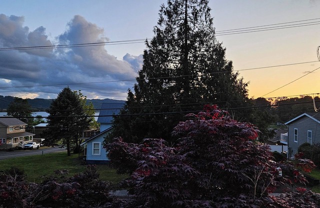 Comfy 2-bedroom apartment in Charming Cathlamet