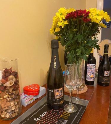 Comfy Apartment near Dublin Airport with FREE PARKING