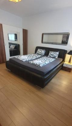 Comfy & Cozy Studio near Enkplatz U3