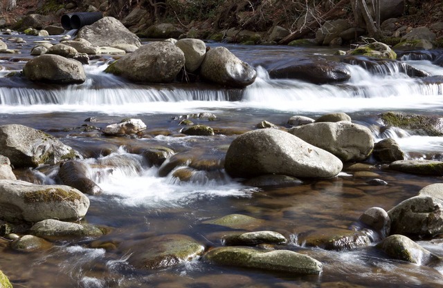 Convenient Creekside condo with large wrap around balcony, close to everything!
