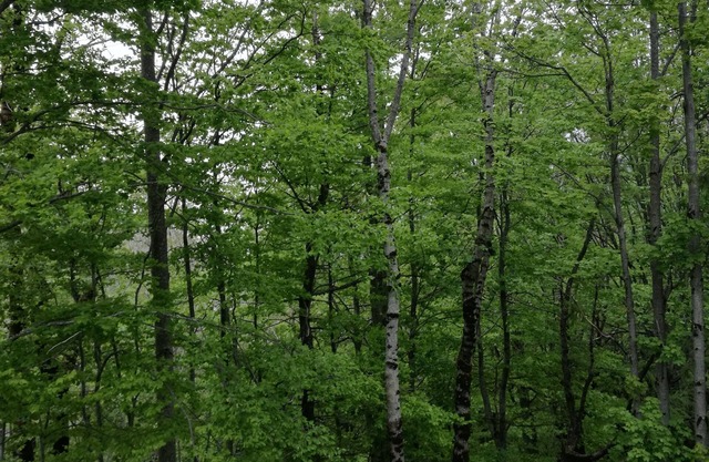 Cool apartment very close to Abetone and Fiumalbo