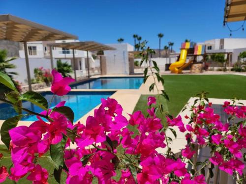 Coral de Cortes - New Beach House