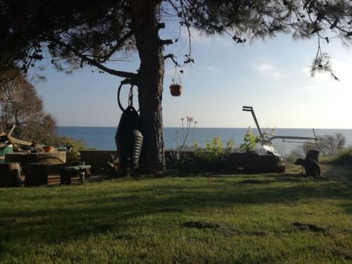 Corfu sea front apartment,The nest II