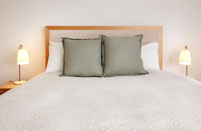 Cosy and Chic on Olive - Stylish one bedroom apartment in central Albury