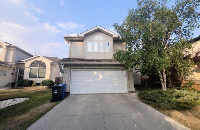 Cosy And Cool Environment