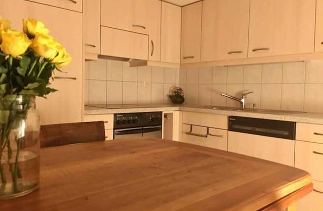 Cosy apartment in heritage protected swiss chalet
