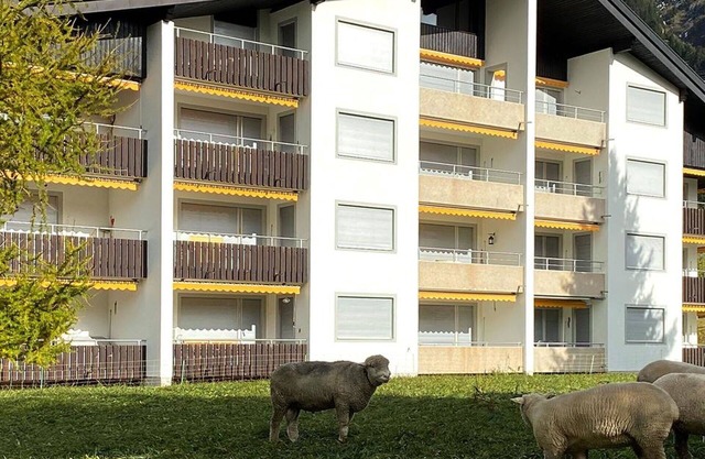 Cosy apartment for 6 people with WIFI, TV and balcony