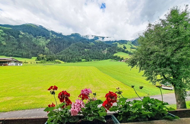 Cosy apartment for 8 people with balcony