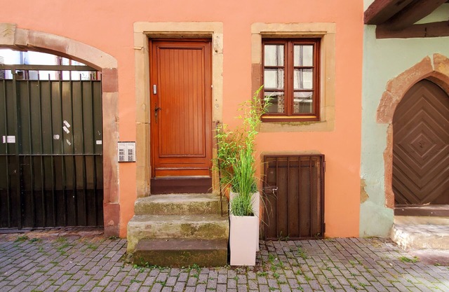 Cosy groundfloor appartment in the heart of Strasbourg, with 2 bikes.