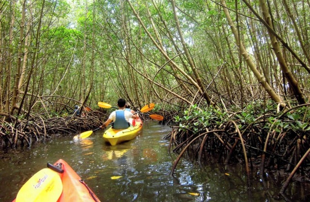 Cosy nest - Plage de Babin