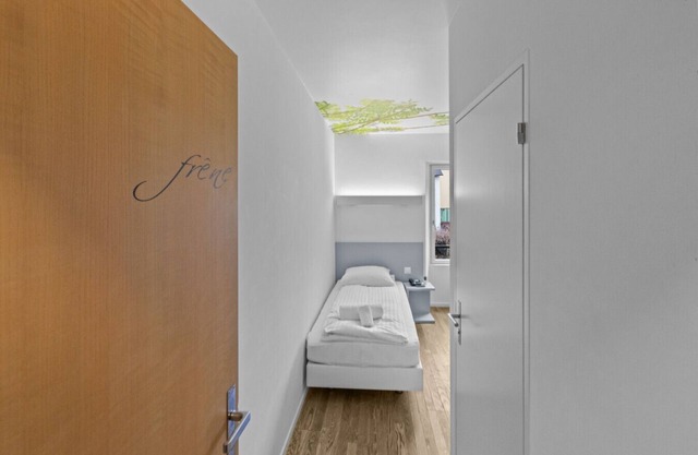 Cosy single room in the heart of Sierre