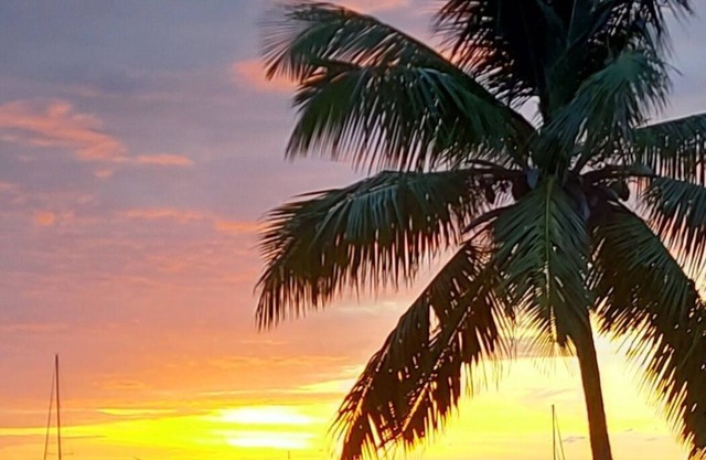 Cosy studio with Jacuzzi in the countryside overlooking La Soufrière