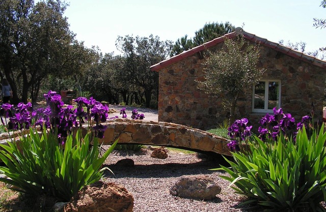 cottage in saint andre de roquelongue, aude, air conditioning, with swimming pool, garden terrace