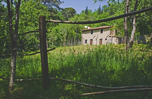 Cottage in old chestnut grove set well away from the road