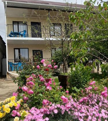 cottage Elbol