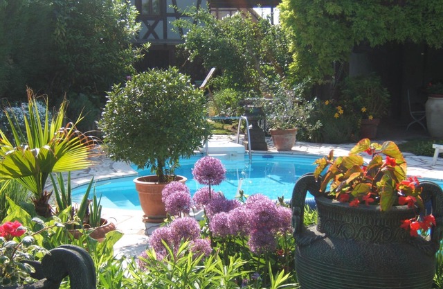 Cottage in charming house in the heart of Alsace Sundhouse a garden and swimming pool