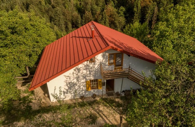 Cottage surrounded by forests - The Sunny Hill