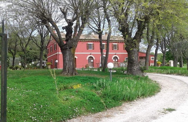 country holiday home - Serrungarina