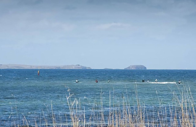 Country Living by the Seaside - Pet Friendly