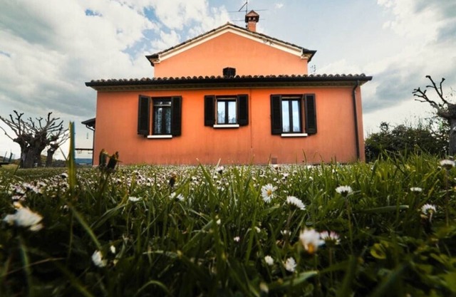 Countryside Comfort in Urbania