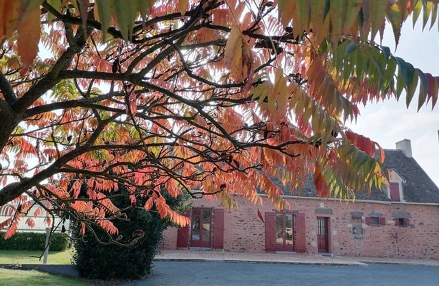 Countryside Retreat: Farm Experience, Modern Comforts, 3 Bedrooms, BBQ, Fishing Pond