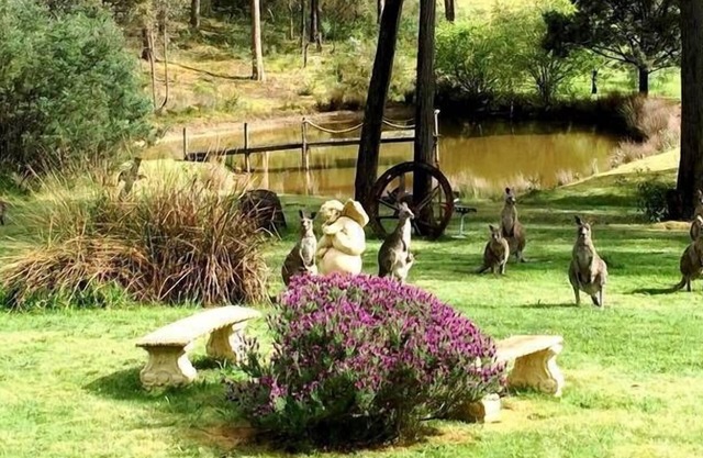 CountrysideRetreat Romance Intimate NativeWildlife Daylesford - Hepburn