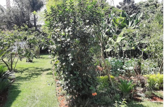 Cozy 2 bedroom home in Roslyn Runda with WI-FI