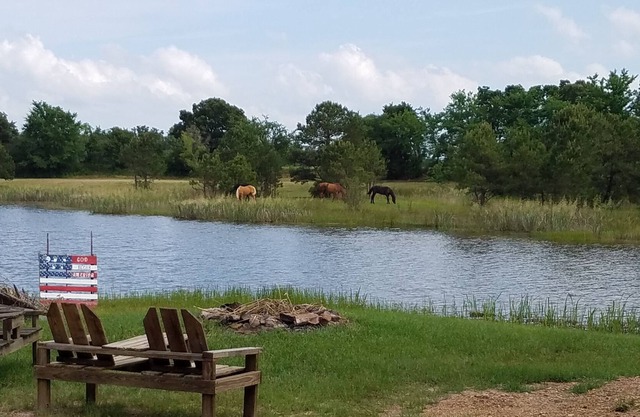 Cozy 2 rm pet friendly cabin- private lake - fishing & swimming - CowboyCabin
