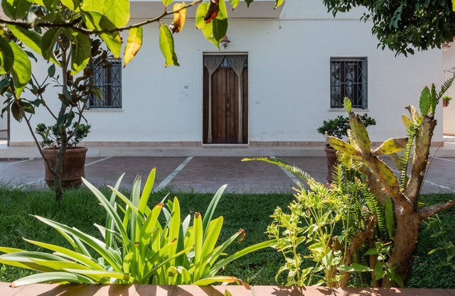Cozy abode surrounded by greenery, just 10 minutes from the sea