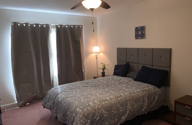 Cozy and fresh one-bedroom, 10 minutes from Old Town Alexandria