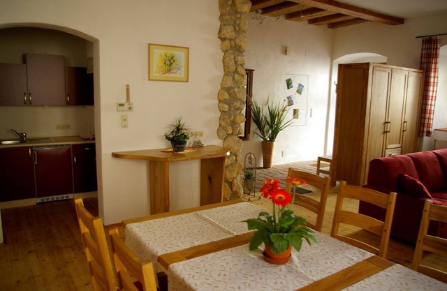 Cozy apartment 100sqm in the wine city of Austria