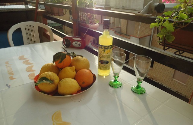 Cozy apartment in the center of Scalea