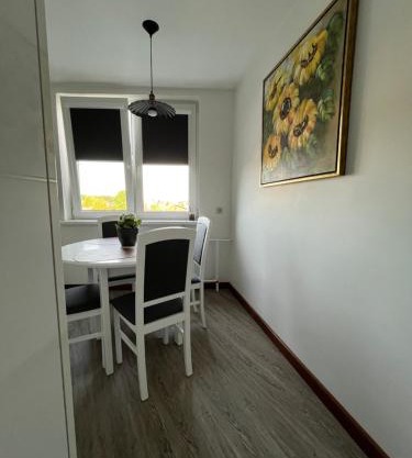 Cozy apartment in the city center