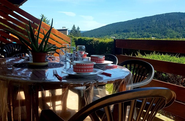 Cozy apartment with parking and terrace in Gérardmer