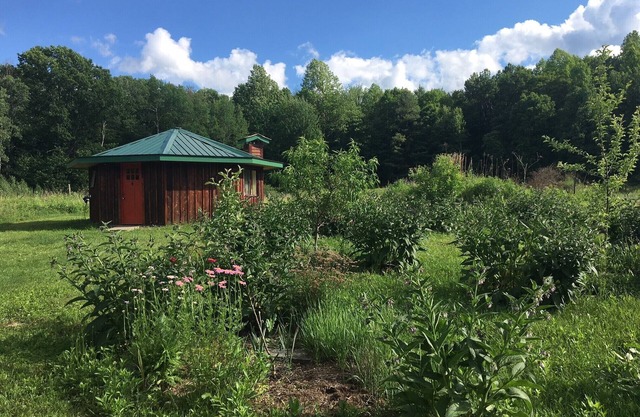 Cozy, Artistic Retreat Surrounded By Waterfalls, Orchards And Gardens