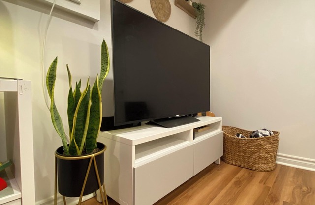 Cozy Bungalow and outdoor space