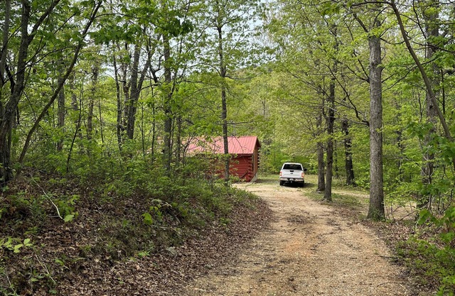 Cozy Cabin across the street from the Arkansas Grand Canyon on Hwy 7