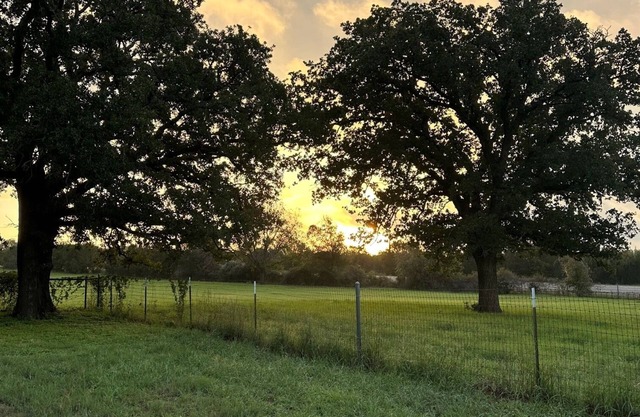 Cozy cabin in Glen Rose with AC, WiFi, Close to all major attractions!